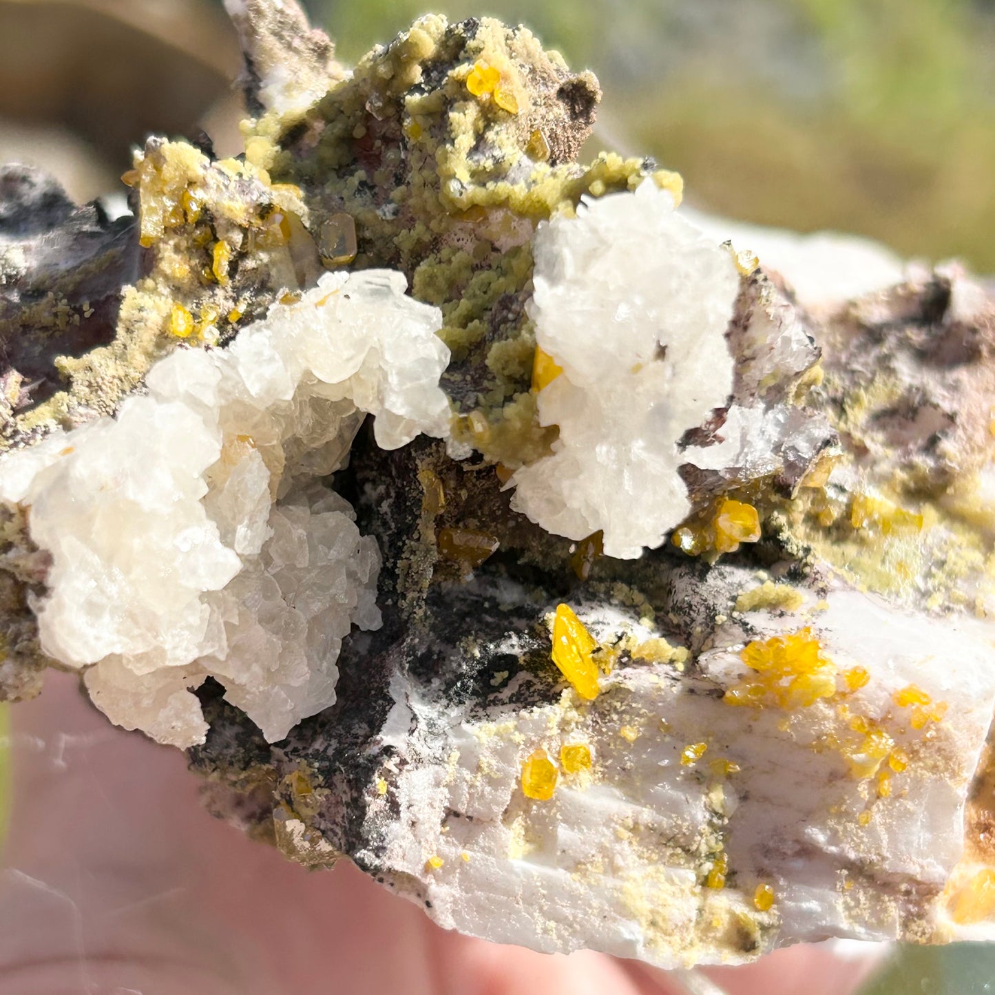 Yellow Wulfenite with Mimetite on Calcite & Feldspar XL from La Morta Mine, Chihuahua, Mexico 🇲🇽 #6