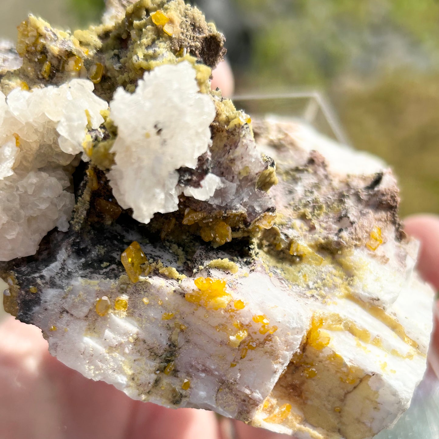 Yellow Wulfenite with Mimetite on Calcite & Feldspar XL from La Morta Mine, Chihuahua, Mexico 🇲🇽 #6