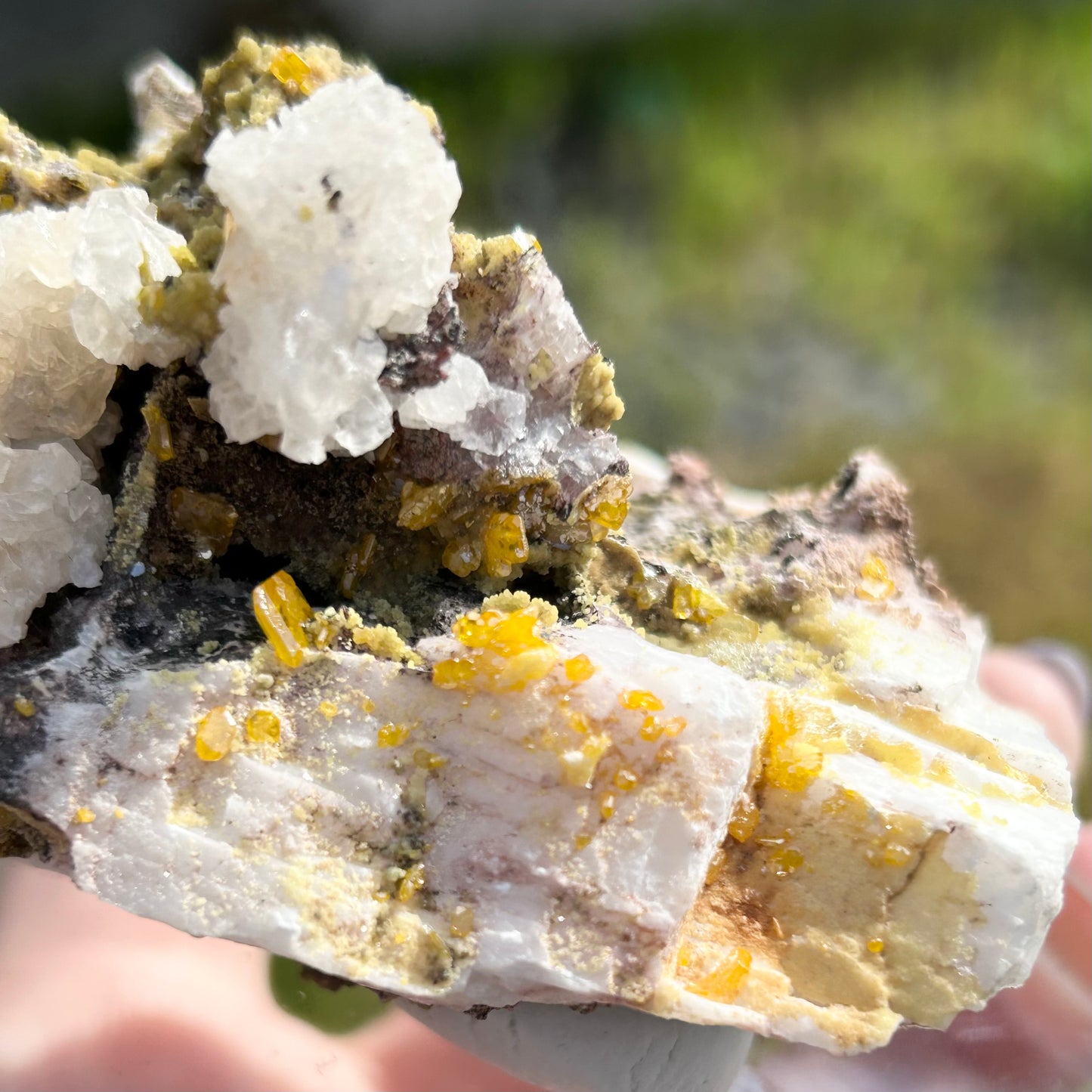 Yellow Wulfenite with Mimetite on Calcite & Feldspar XL from La Morta Mine, Chihuahua, Mexico 🇲🇽 #6