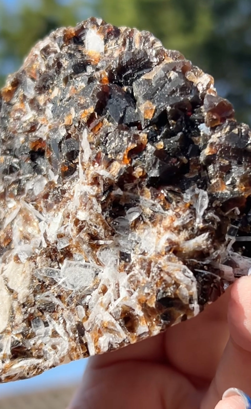 Rootbeer 🍺 Fluorite with Celestite & Calcite (Green UV) from White Rock Quarry, Ohio, USA 🇺🇸 Number 1