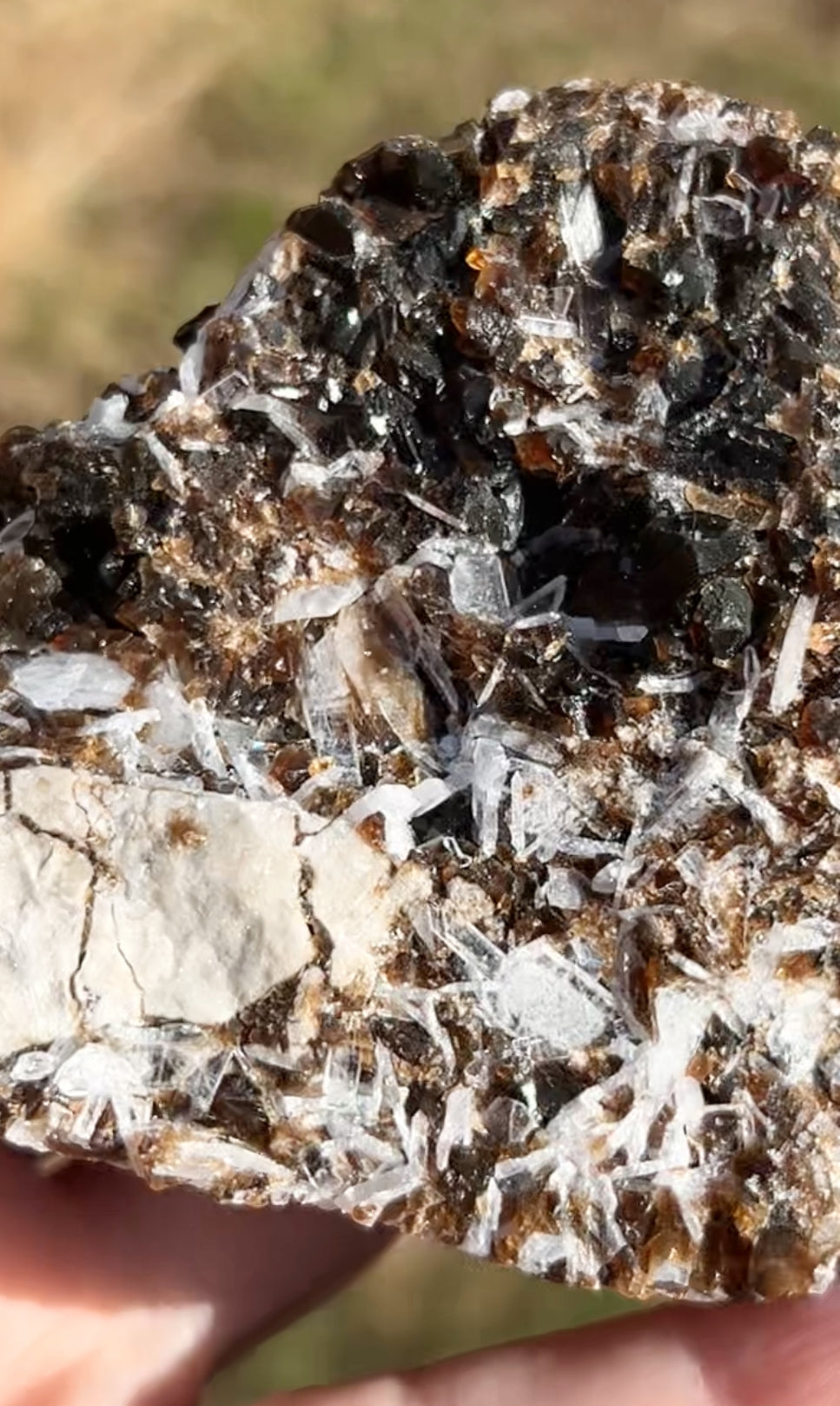 Rootbeer 🍺 Fluorite with Celestite & Calcite (Green UV) from White Rock Quarry, Ohio, USA 🇺🇸 Number 1