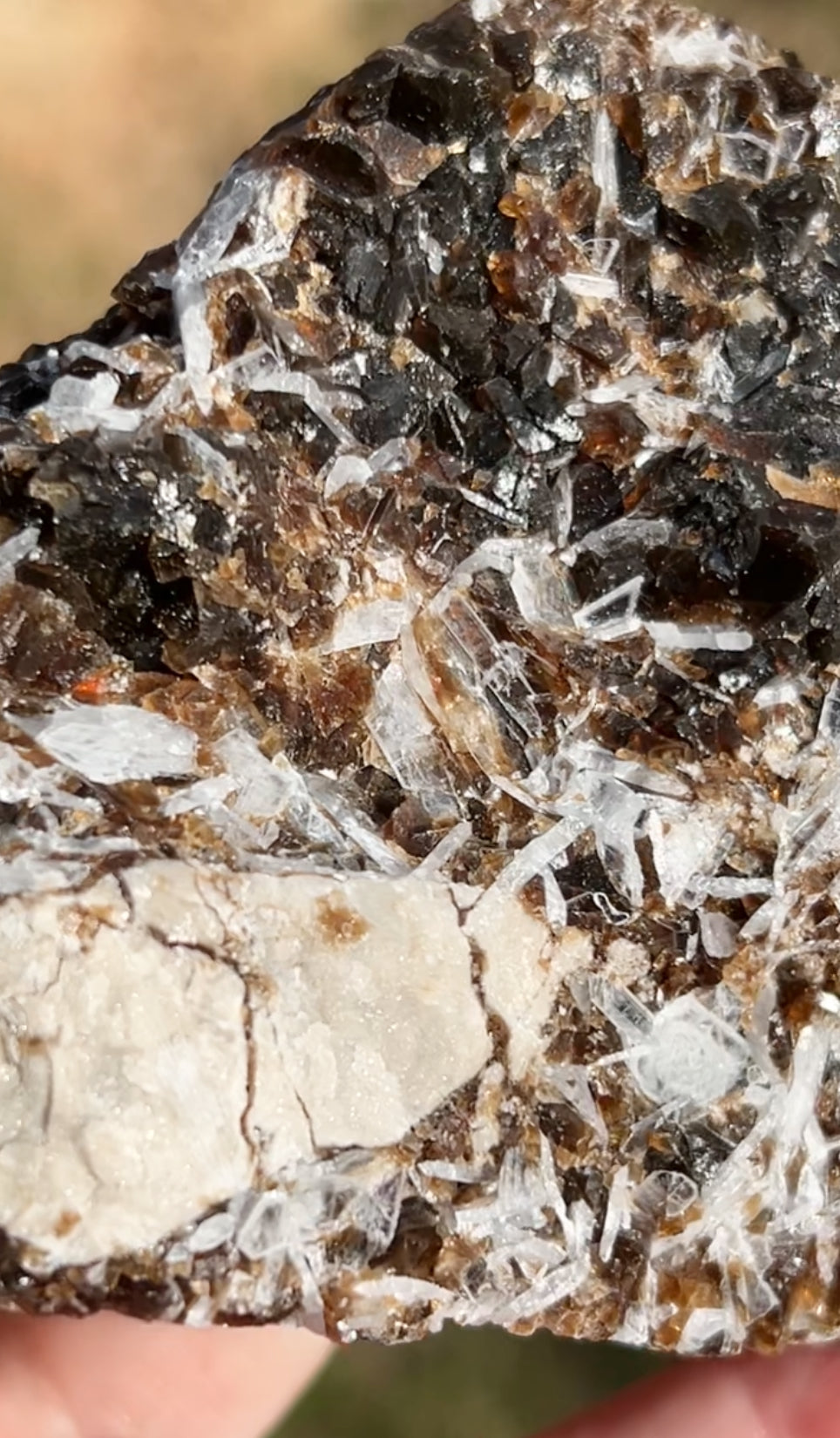 Rootbeer 🍺 Fluorite with Celestite & Calcite (Green UV) from White Rock Quarry, Ohio, USA 🇺🇸 Number 1