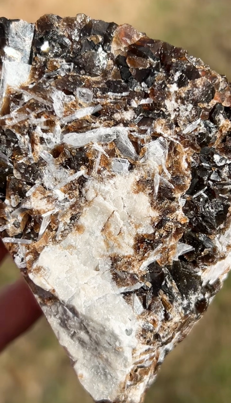 Rootbeer 🍺 Fluorite with Celestite & Calcite (Green UV) from White Rock Quarry, Ohio, USA 🇺🇸 Number 1