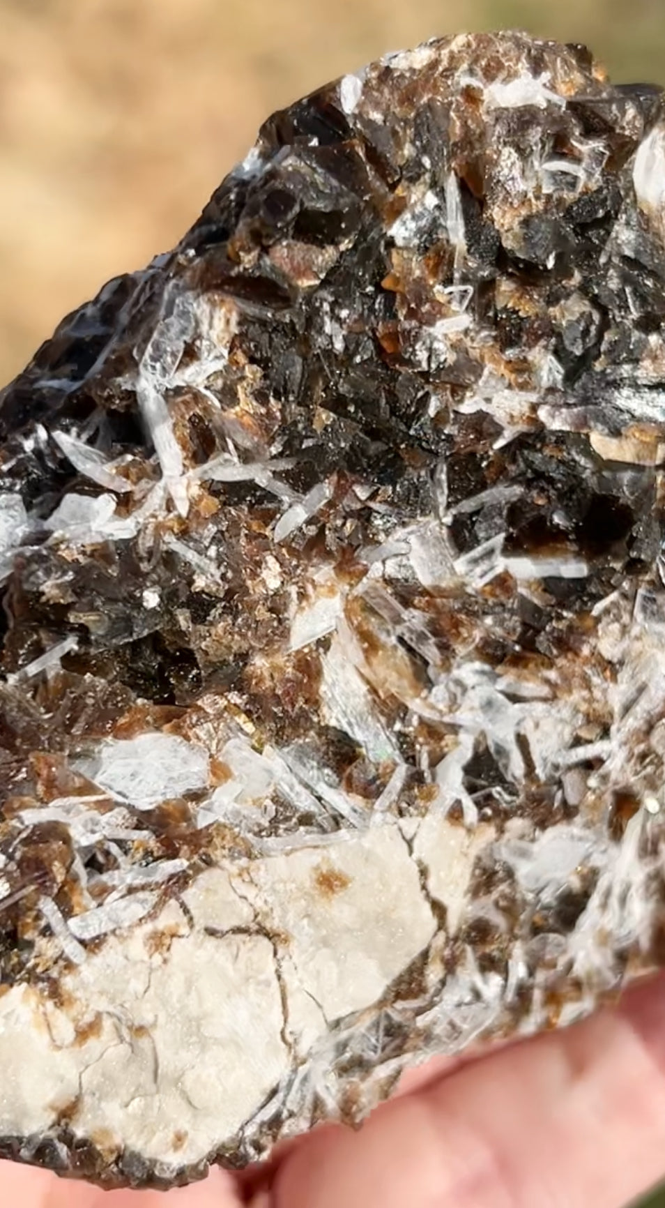 Rootbeer 🍺 Fluorite with Celestite & Calcite (Green UV) from White Rock Quarry, Ohio, USA 🇺🇸 Number 1