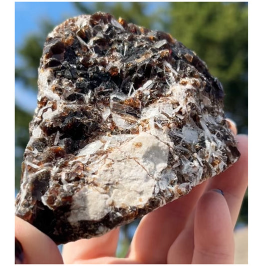 Rootbeer 🍺 Fluorite with Celestite & Calcite (Green UV) from White Rock Quarry, Ohio, USA 🇺🇸 Number 1