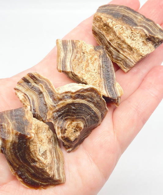 Calcite Raw Chunks: Chocolate, Lemon, Pink Banded, Green Banded - Pick Your Size π΅π°