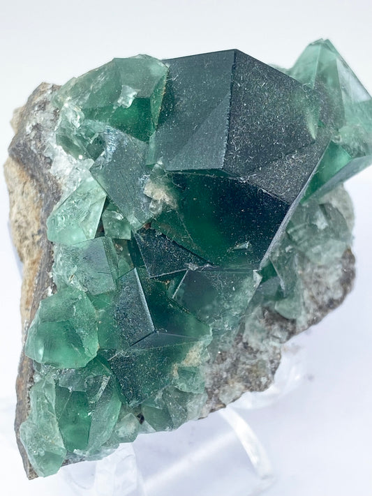 Colour Change Heavy Metal Pocket Green Fluorite With Galena From The Hidden Forest Pocket, Diana Maria Mine, Weardale, County Durham, U.K.