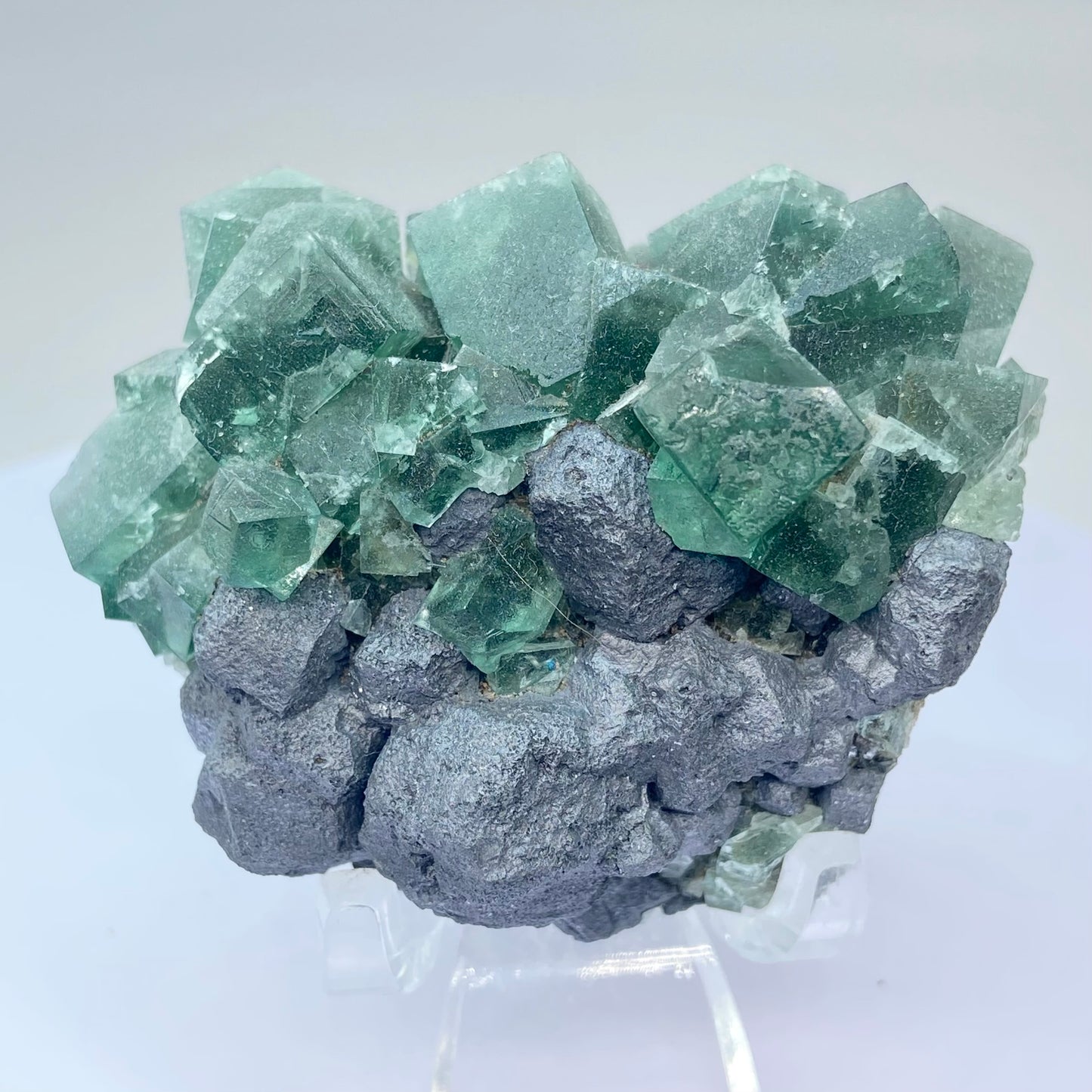 #1 Greedy Hog Colour Change Green Fluorite With Galena From The Greedy Hog Pocket, Diana Maria Mine, Weardale, County Durham, U.K.
