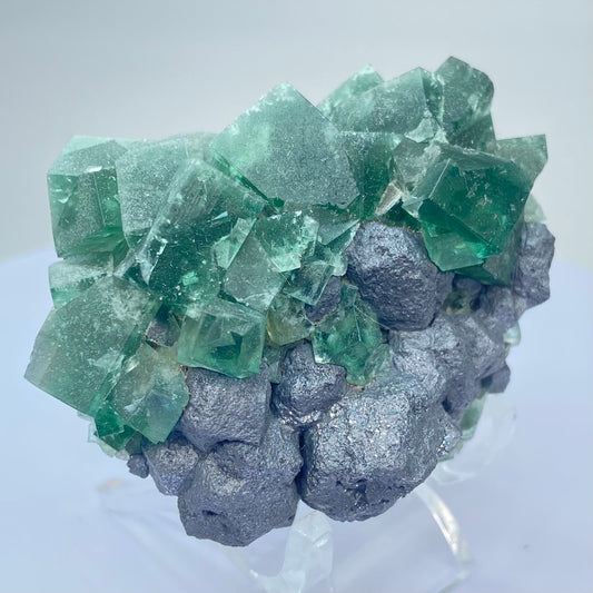 #1 Greedy Hog Colour Change Green Fluorite With Galena From The Greedy Hog Pocket, Diana Maria Mine, Weardale, County Durham, U.K.