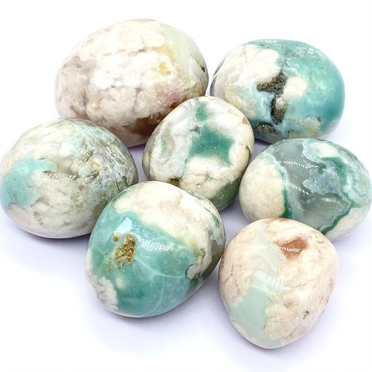 Green Flower Agate Tumbles From Madagascar ๐ฒ๐ฌ Pick Your Size