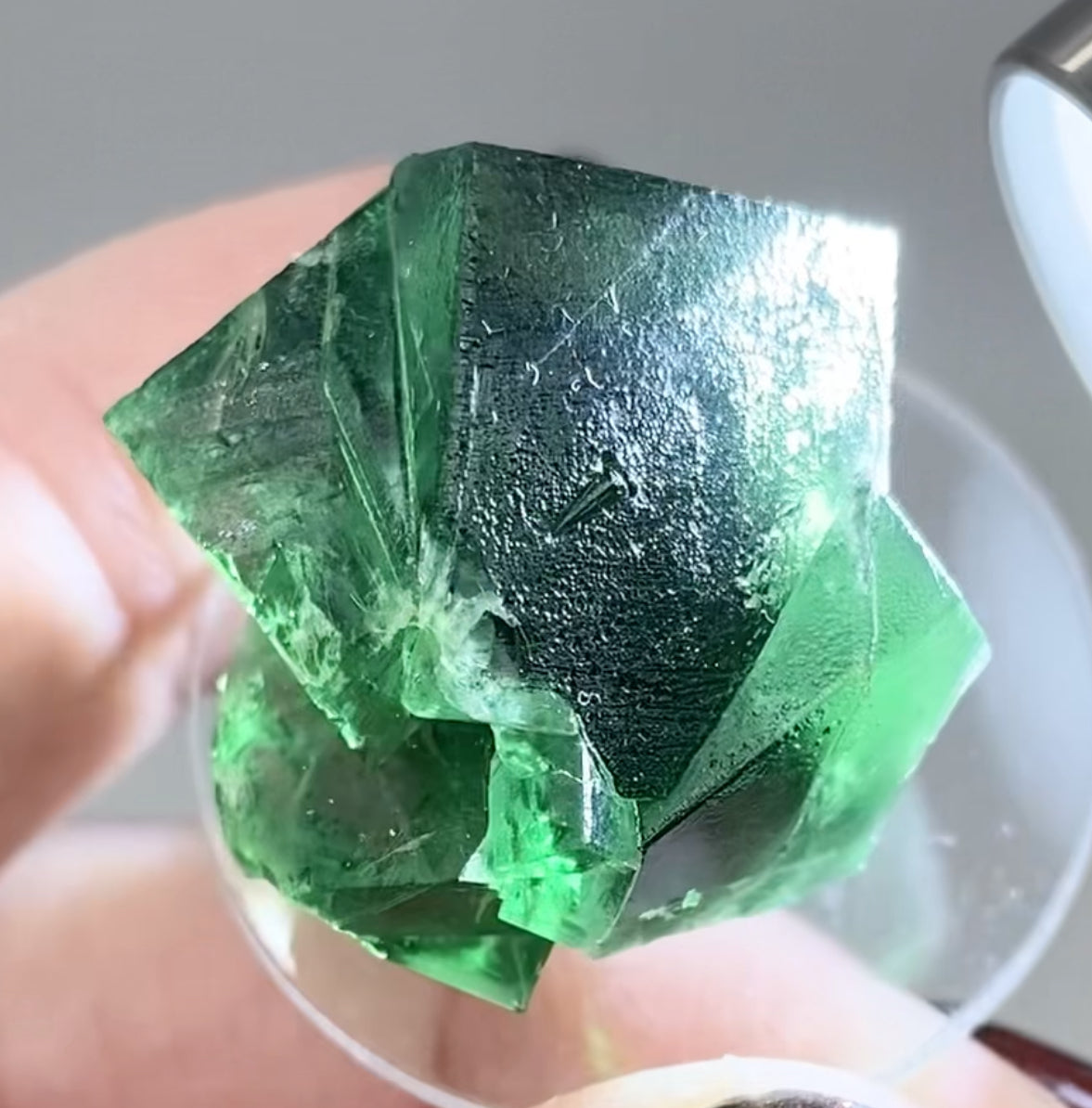 Northern Lights Fluorite Extra Small Twin Specimens From River Catcher Vein, Diana Maria Mine, U.K. 🇬🇧 Pick Your Specimen