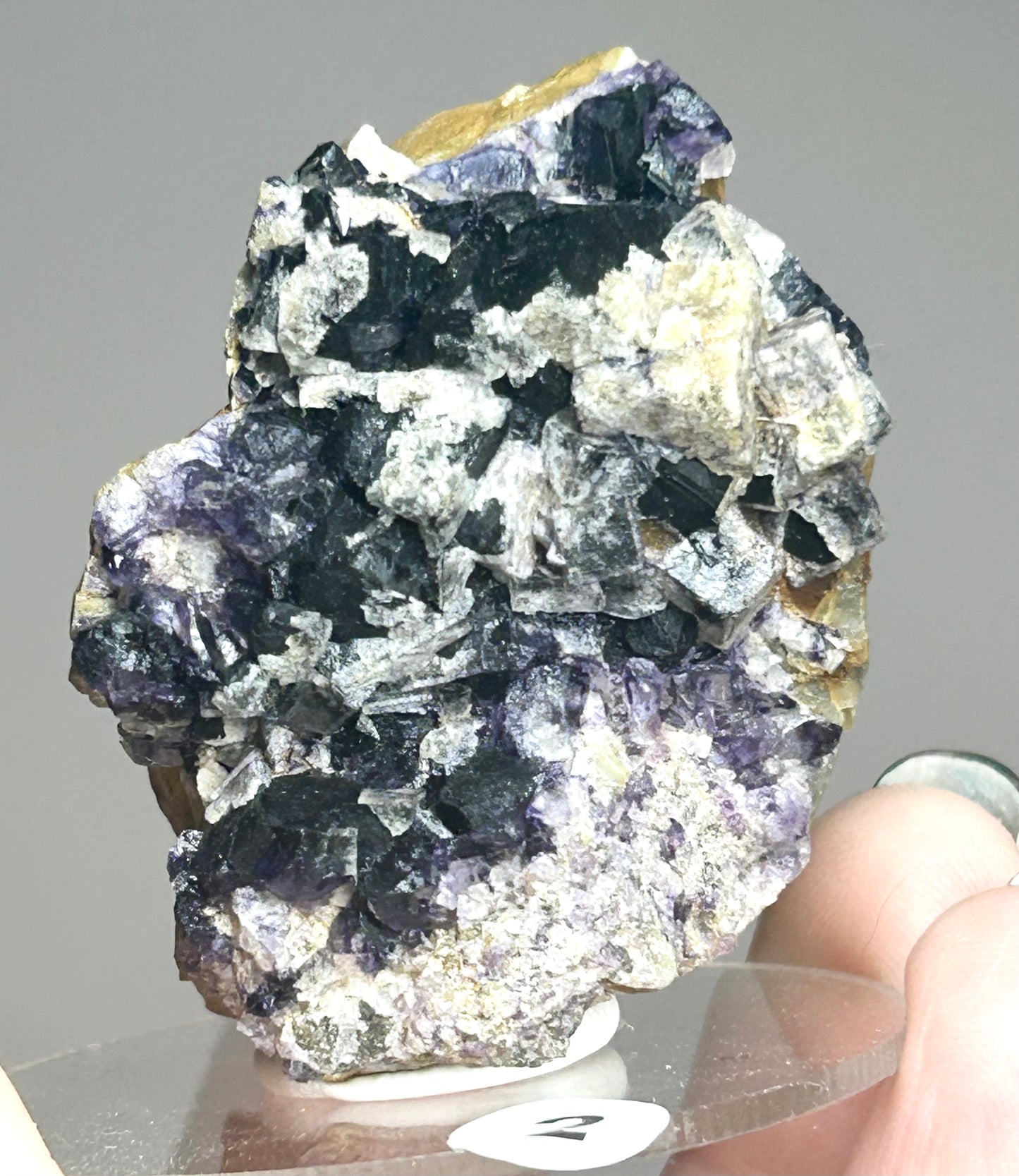 Blueberry Fluorite with Calcite from Smalldale Mine, Bradwell, Derbyshire, U.K. 🇬🇧 (Old Stock - Independently Mined) - Pick Your Specimen