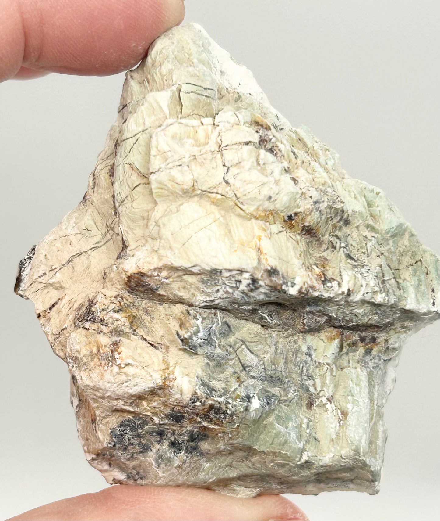 Green-Blue Petrified Wood 🪵 #1 From Turkey 🇹🇷