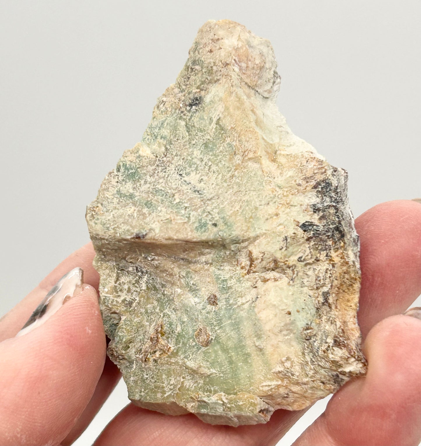 Green-Blue Petrified Wood 🪵 #2 From Turkey 🇹🇷