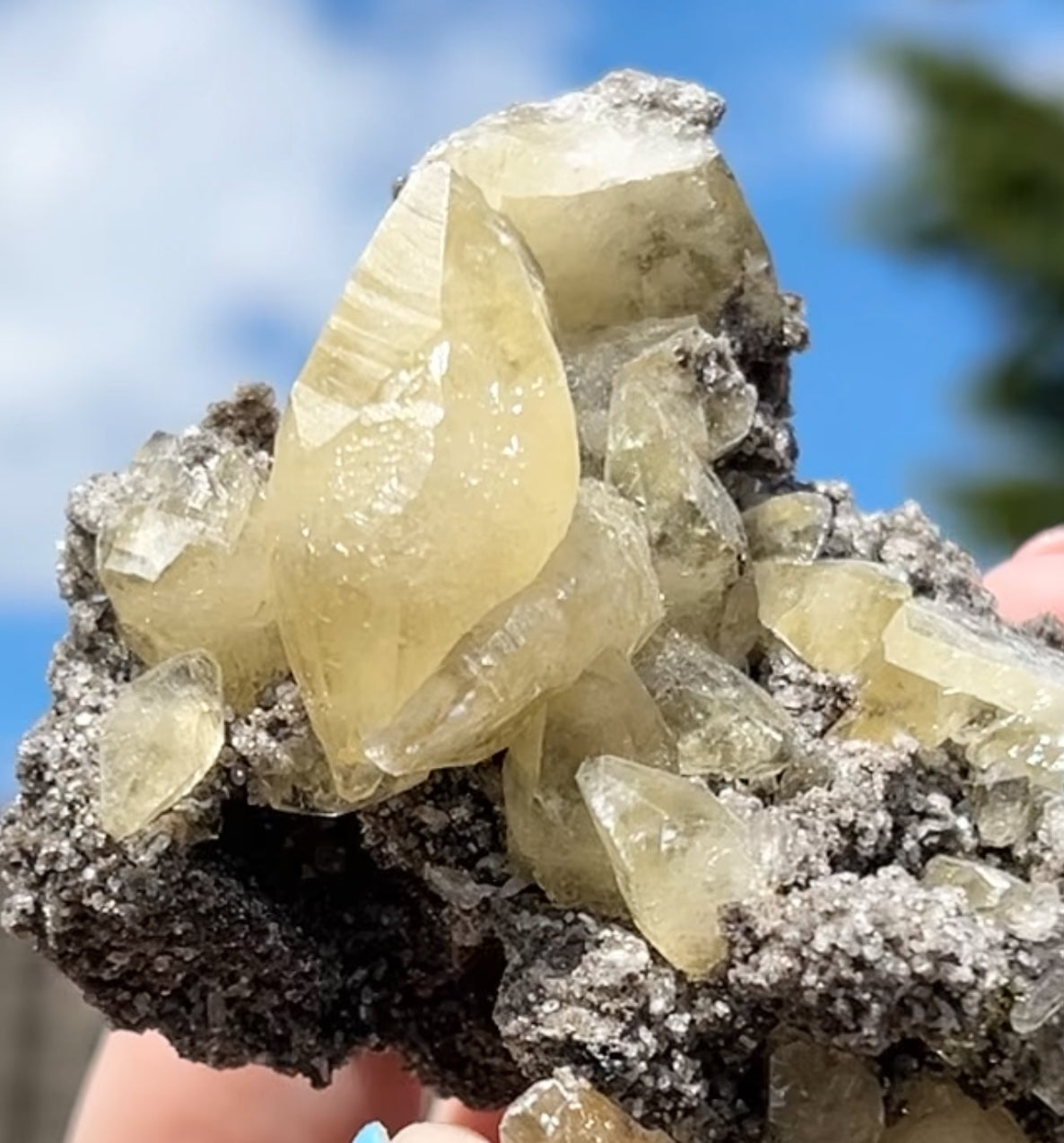 Collectors #11 XL Sweetwater Yellow Calcite On Marcasite Large From Sweetwater Mine, Reynolds County, Missouri, USA 🇺🇸