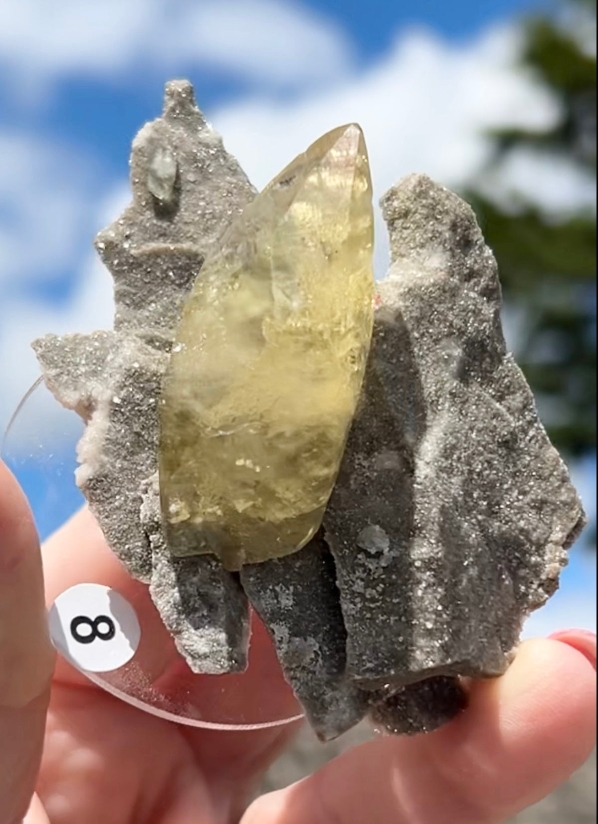 Collectors #8 XL Sweetwater Yellow Calcite With Quartz Sugar Large From Sweetwater Mine, Reynolds County, Missouri, USA 🇺🇸