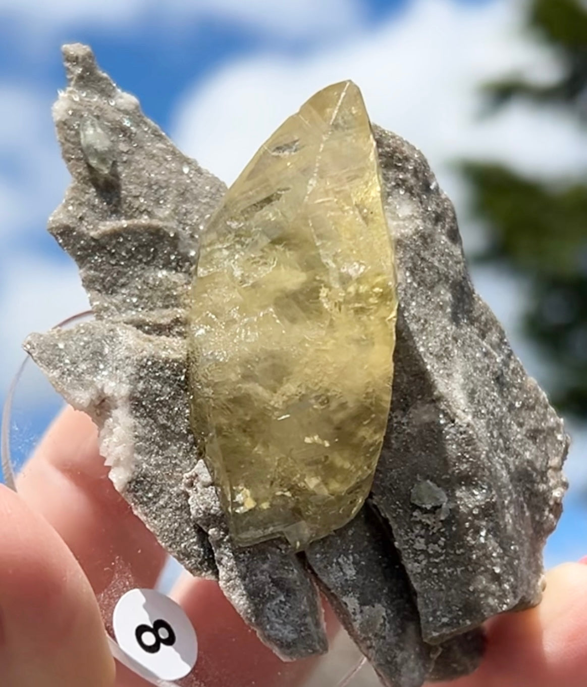 Collectors #8 XL Sweetwater Yellow Calcite With Quartz Sugar Large From Sweetwater Mine, Reynolds County, Missouri, USA 🇺🇸