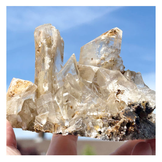 Selenite XL Cluster from New Find in Durango, Mexico 🇲🇽 #1