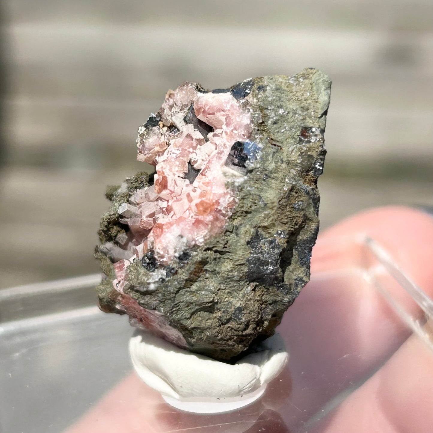 Pink Botryoidal Rhodochrosite from Potisi Mine, Francisco, Santa Eulalia, Chihuahua, Mexico 🇲🇽 #2