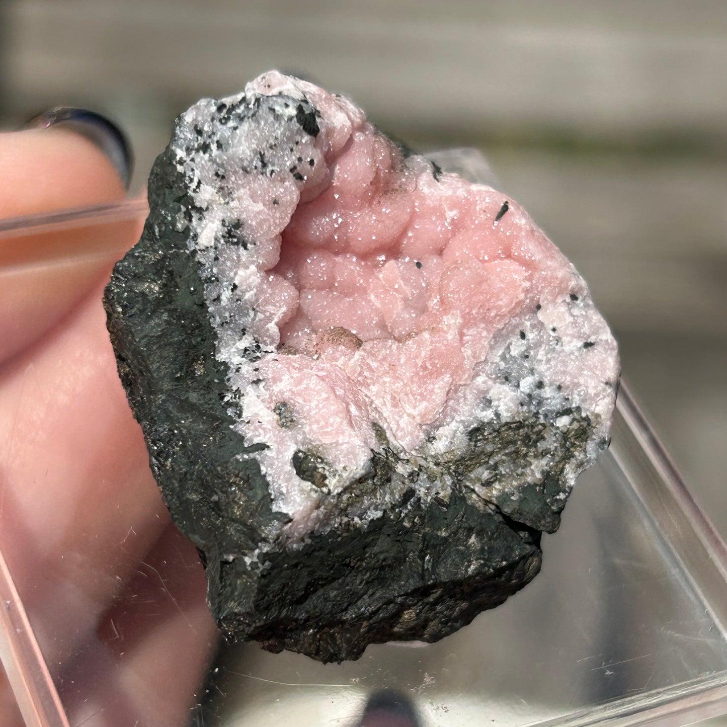 Pink Botryoidal Rhodochrosite from Potisi Mine, Francisco, Santa Eulalia, Chihuahua, Mexico 🇲🇽 #4