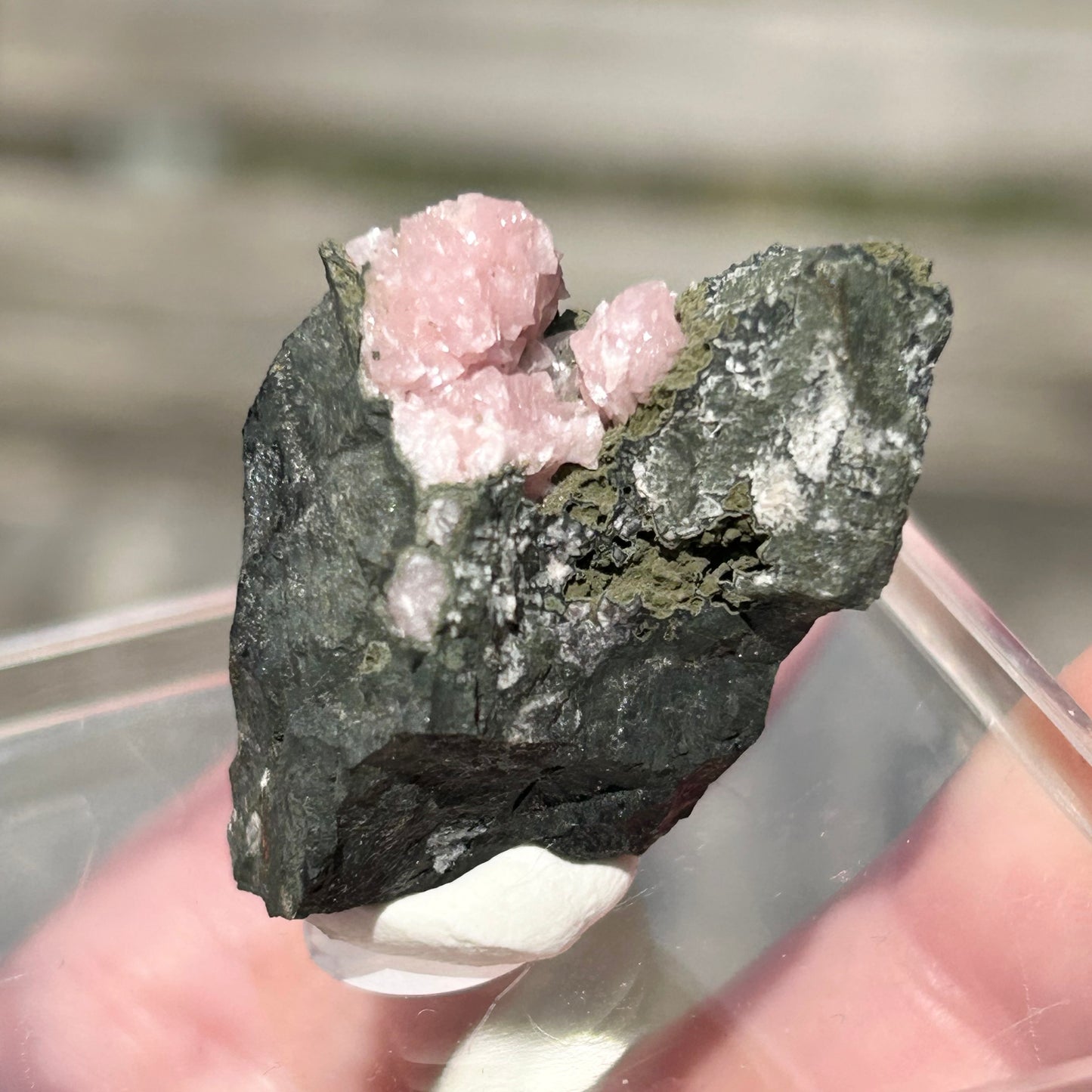 Pink Botryoidal Rhodochrosite from Potisi Mine, Francisco, Santa Eulalia, Chihuahua, Mexico 🇲🇽 #5