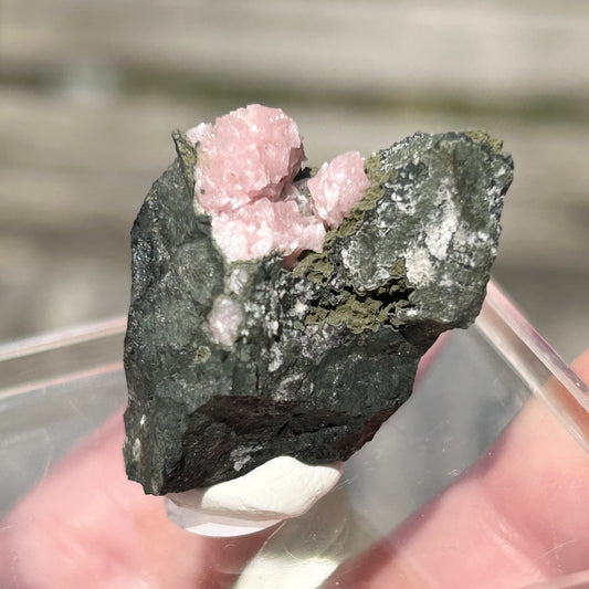 Pink Botryoidal Rhodochrosite from Potisi Mine, Francisco, Santa Eulalia, Chihuahua, Mexico π²π½ #5