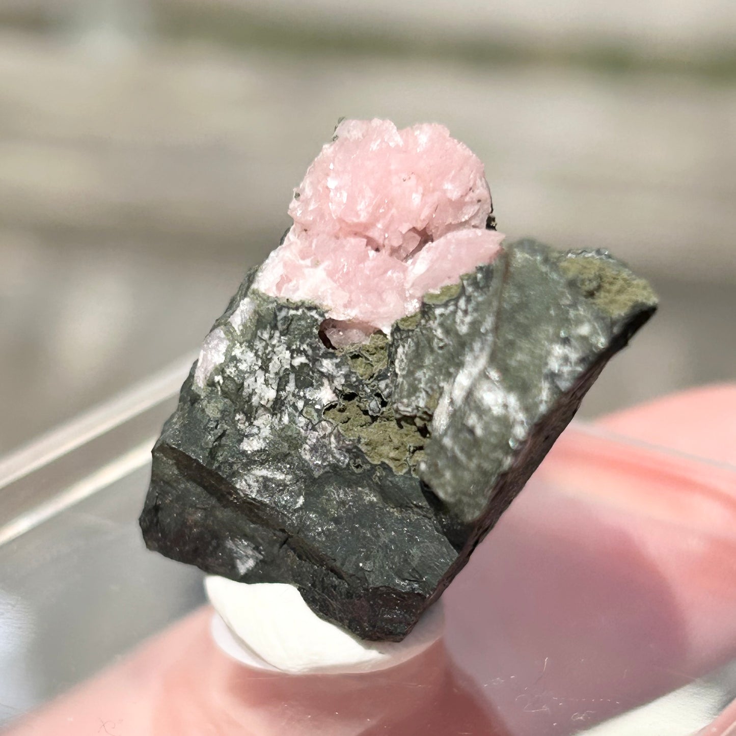 Pink Botryoidal Rhodochrosite from Potisi Mine, Francisco, Santa Eulalia, Chihuahua, Mexico 🇲🇽 #5