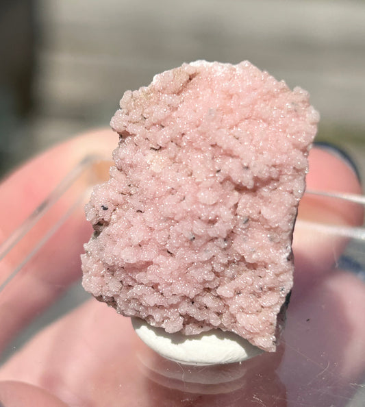 Pink Botryoidal Rhodochrosite from Potisi Mine, Francisco, Santa Eulalia, Chihuahua, Mexico π²π½ #6