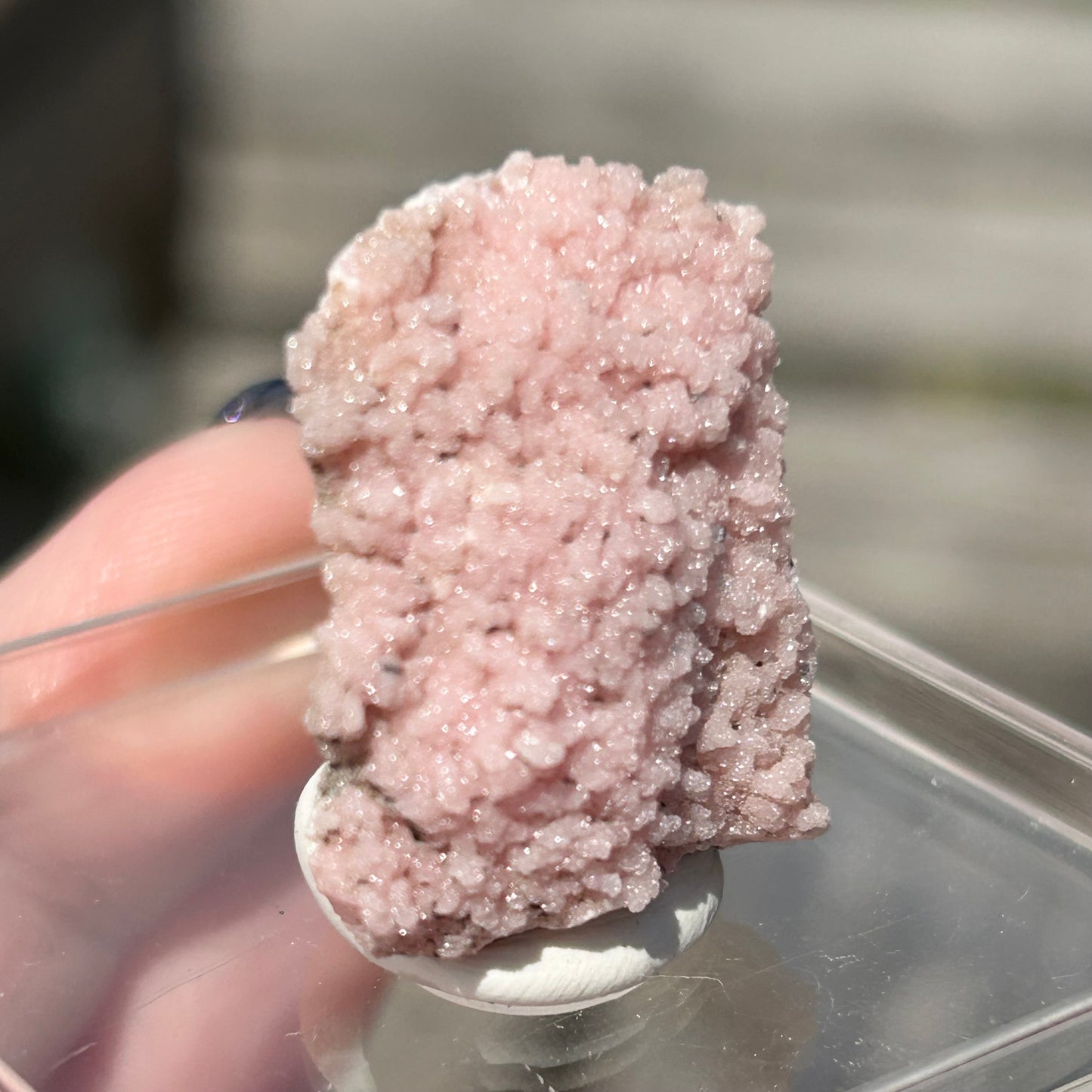 Pink Botryoidal Rhodochrosite from Potisi Mine, Francisco, Santa Eulalia, Chihuahua, Mexico 🇲🇽 #6