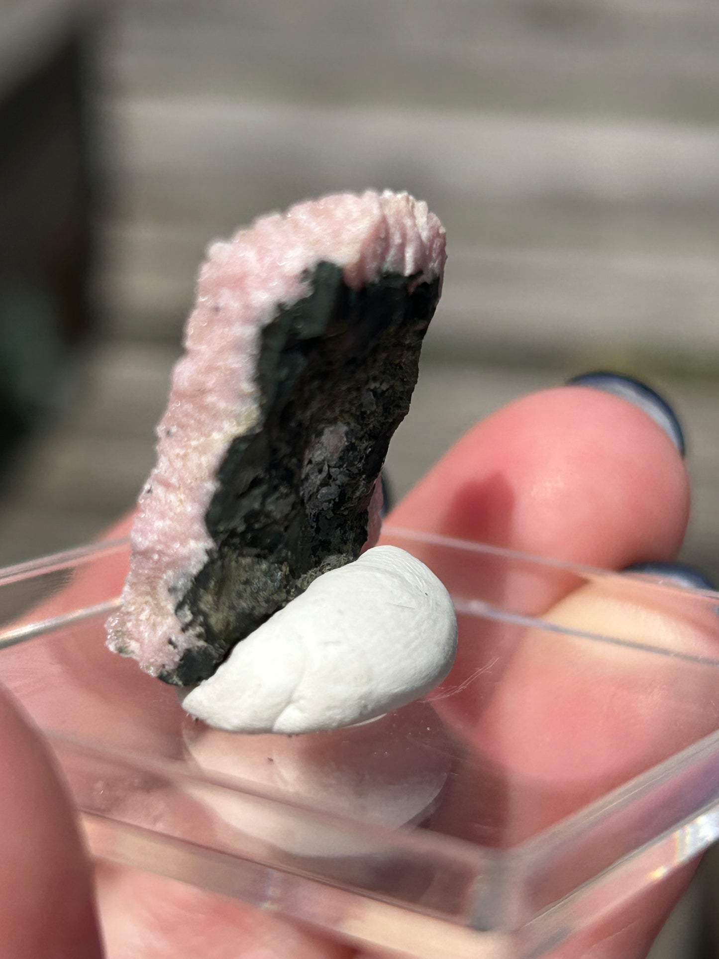 Pink Botryoidal Rhodochrosite from Potisi Mine, Francisco, Santa Eulalia, Chihuahua, Mexico 🇲🇽 #6
