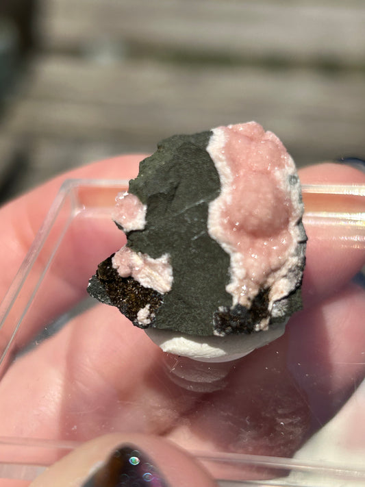 Pink Botryoidal Rhodochrosite from Potisi Mine, Francisco, Santa Eulalia, Chihuahua, Mexico π²π½ #7