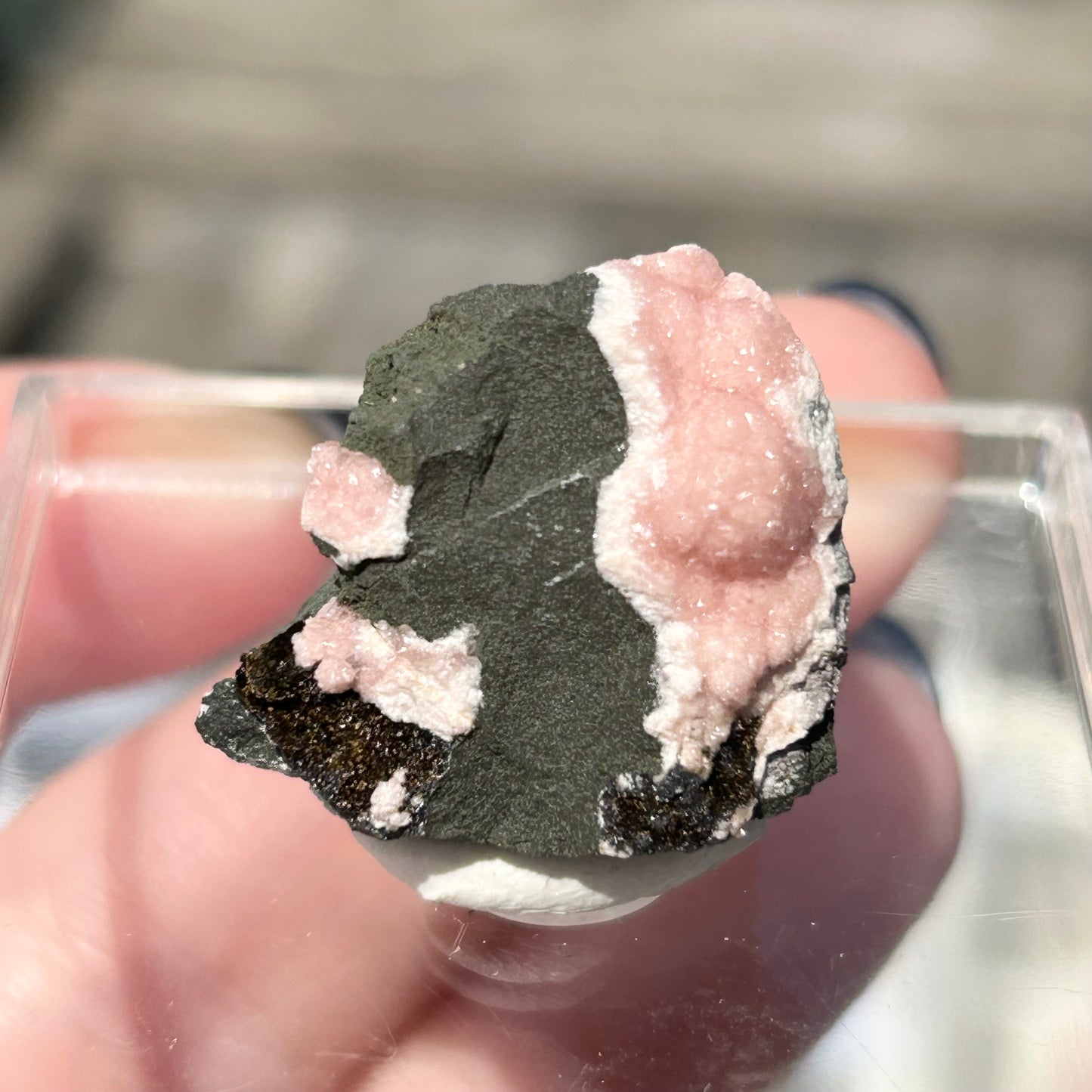 Pink Botryoidal Rhodochrosite from Potisi Mine, Francisco, Santa Eulalia, Chihuahua, Mexico 🇲🇽 #7