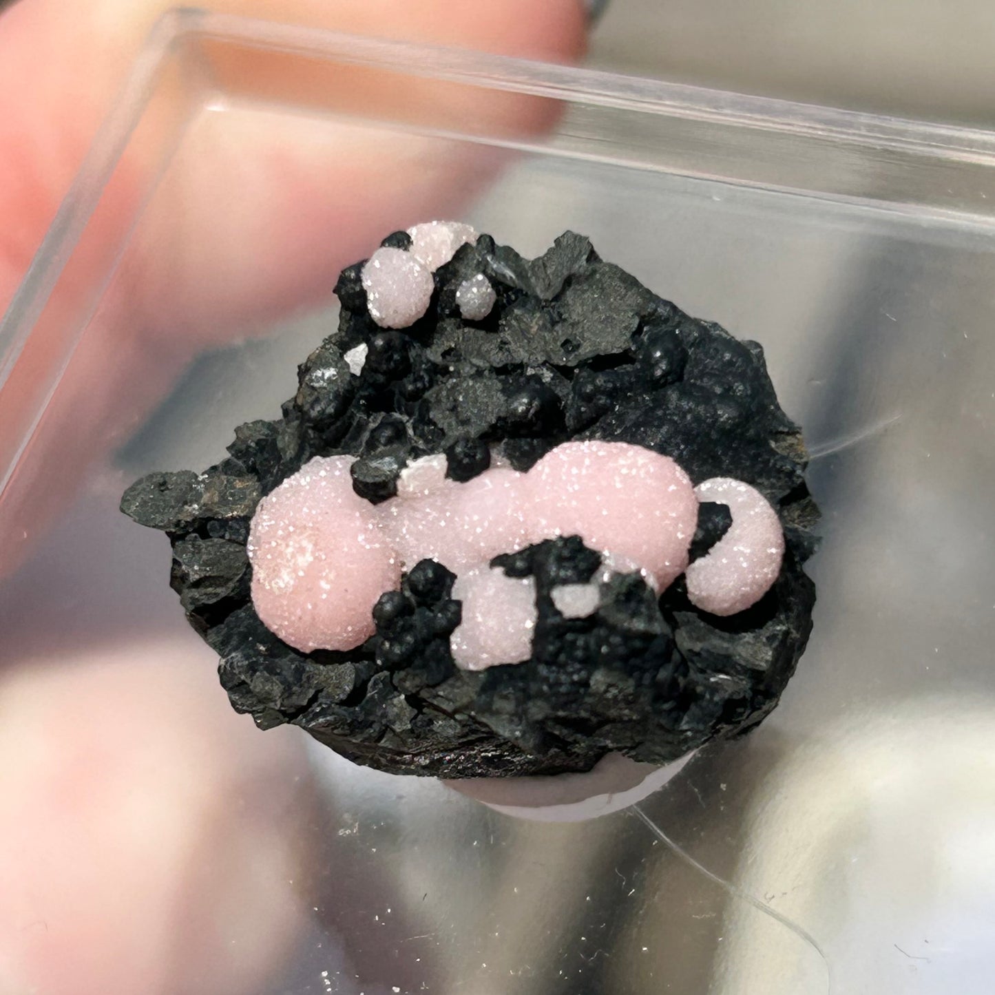 Pink Botryoidal Rhodochrosite from Potisi Mine, Francisco, Santa Eulalia, Chihuahua, Mexico 🇲🇽 #8