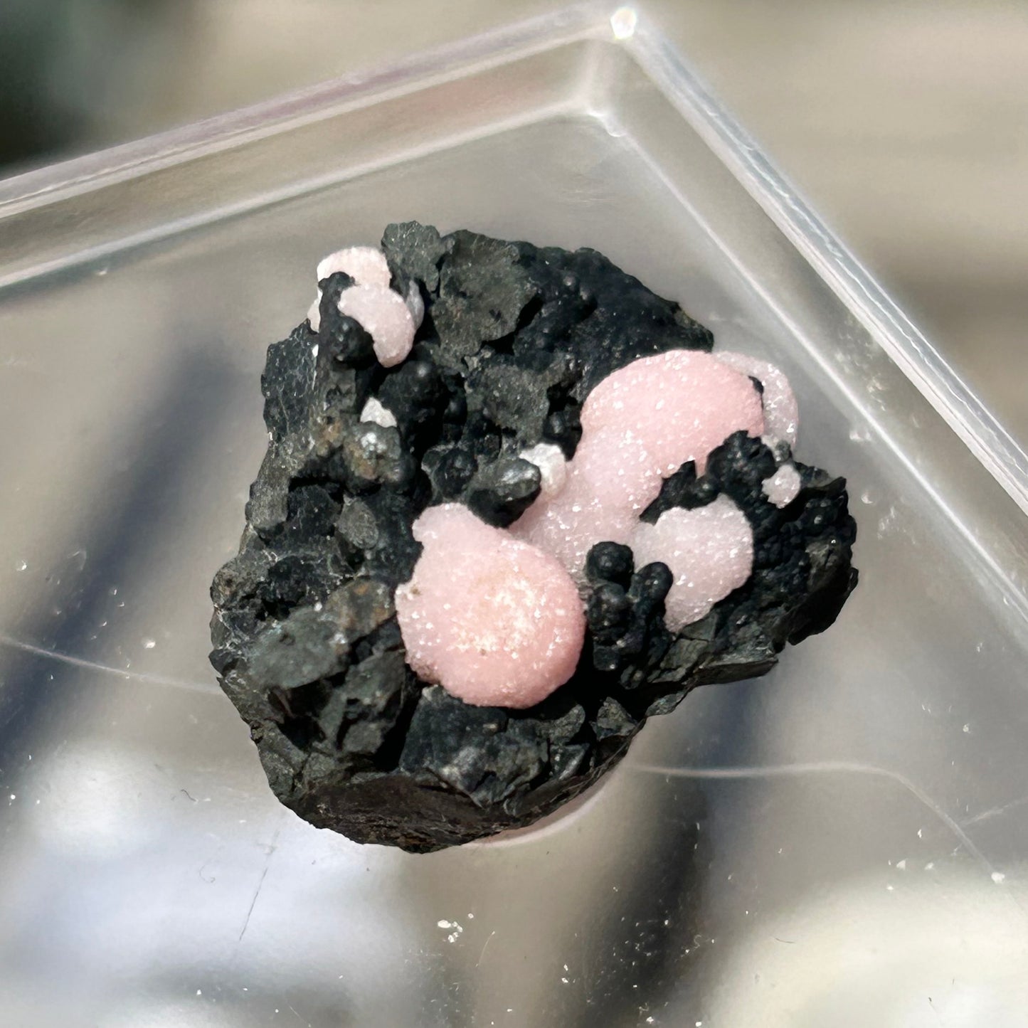 Pink Botryoidal Rhodochrosite from Potisi Mine, Francisco, Santa Eulalia, Chihuahua, Mexico 🇲🇽 #8