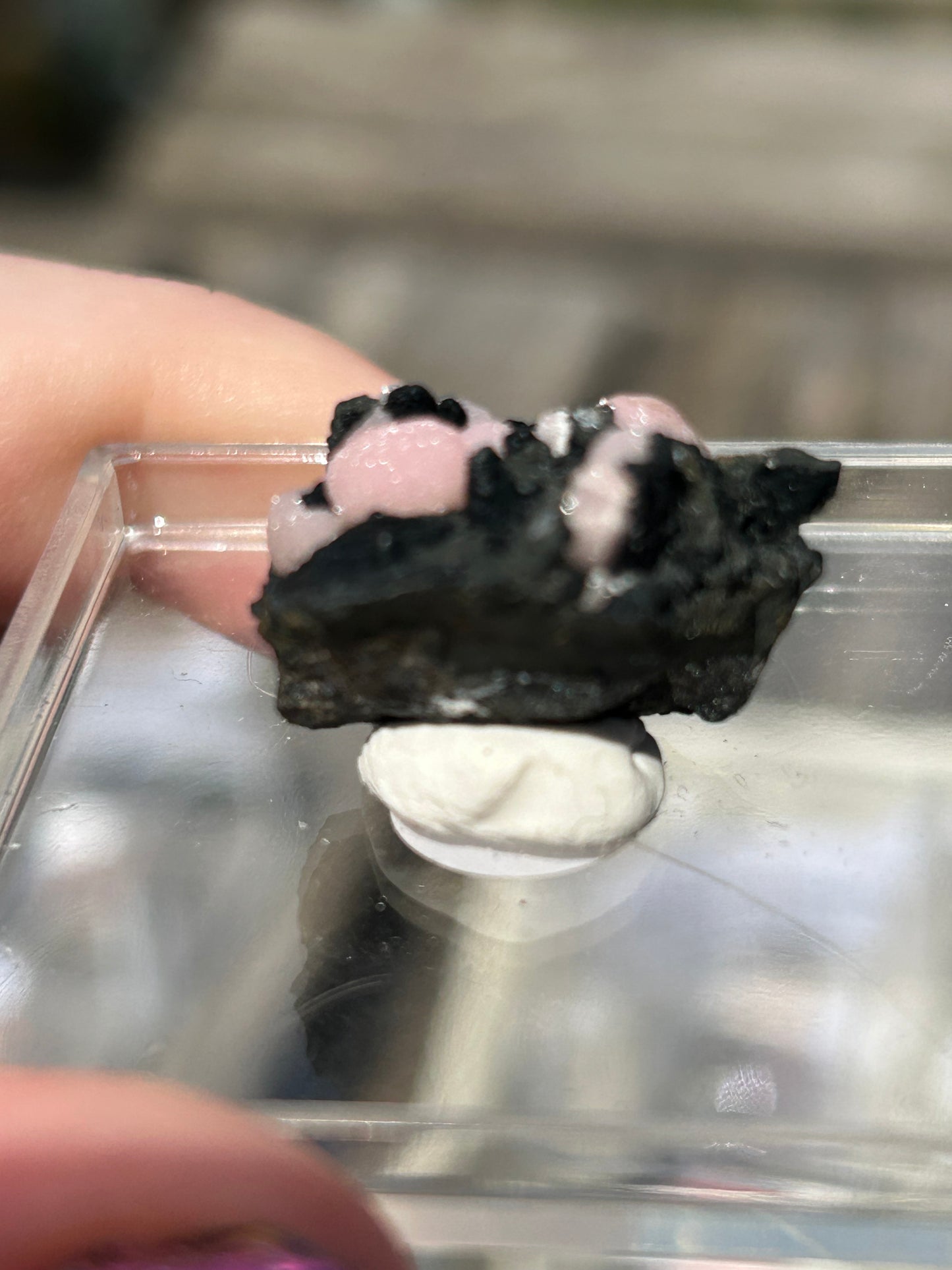 Pink Botryoidal Rhodochrosite from Potisi Mine, Francisco, Santa Eulalia, Chihuahua, Mexico 🇲🇽 #8