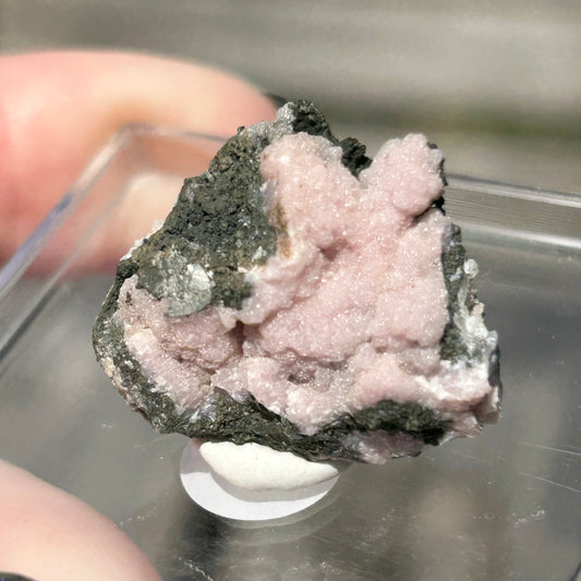 Pink Botryoidal Rhodochrosite from Potisi Mine, Francisco, Santa Eulalia, Chihuahua, Mexico π²π½ #9