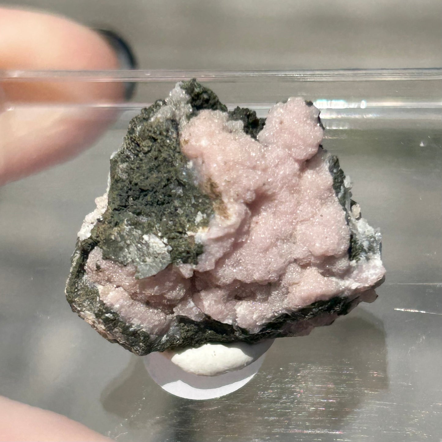 Pink Botryoidal Rhodochrosite from Potisi Mine, Francisco, Santa Eulalia, Chihuahua, Mexico 🇲🇽 #9