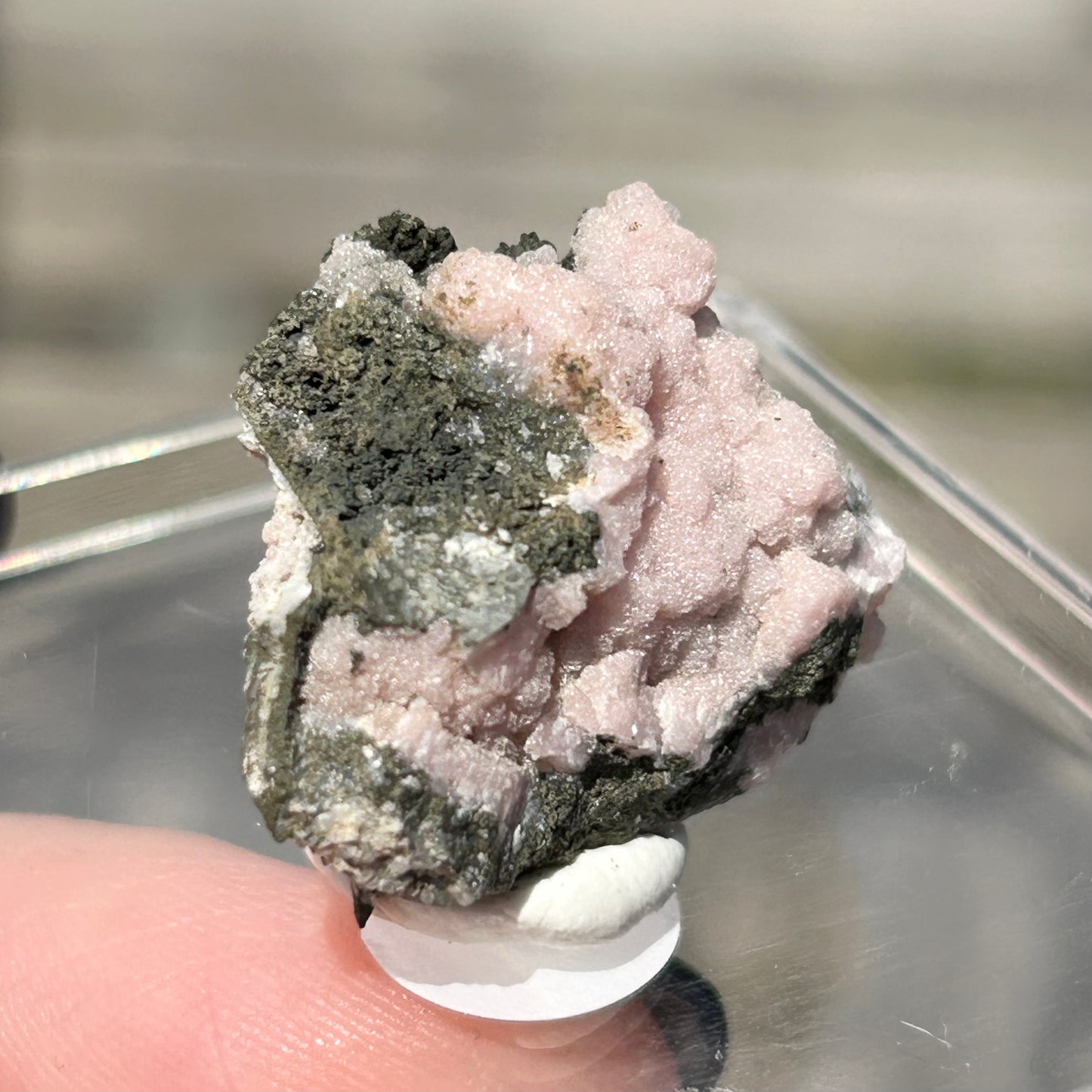 Pink Botryoidal Rhodochrosite from Potisi Mine, Francisco, Santa Eulalia, Chihuahua, Mexico 🇲🇽 #9