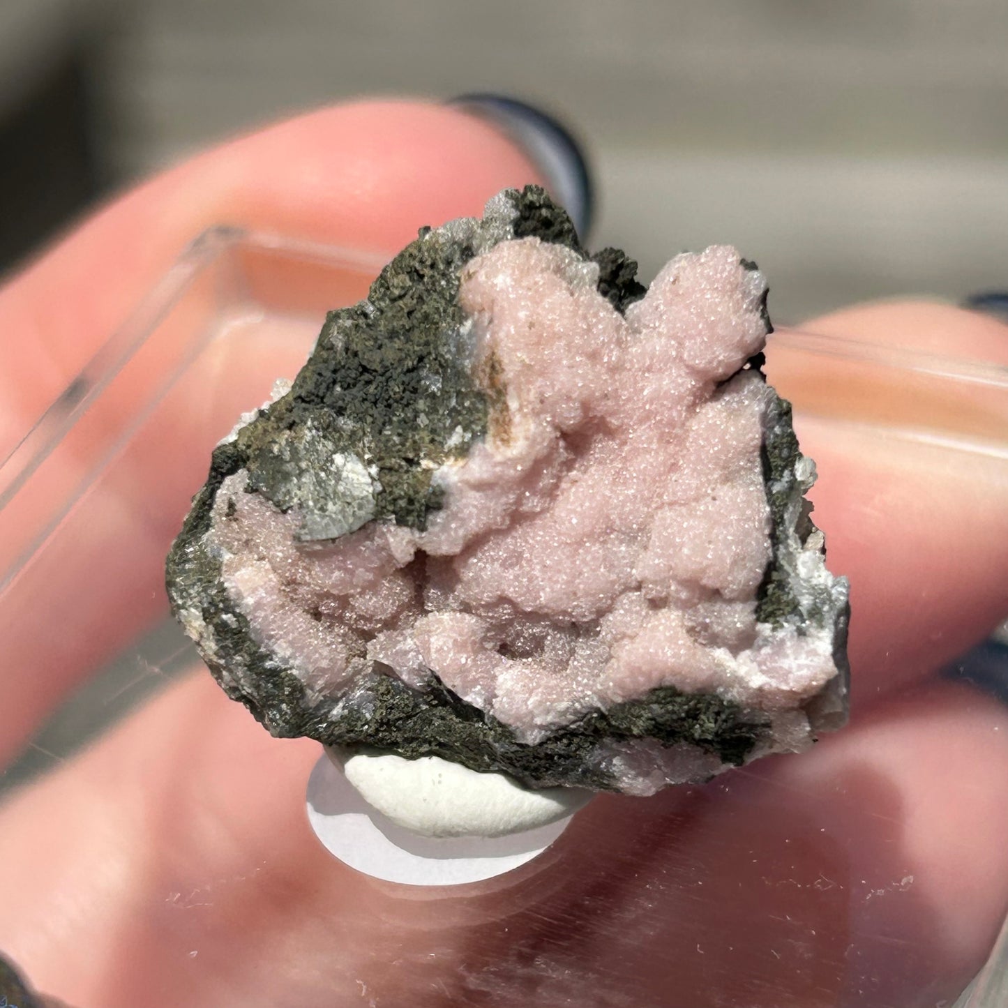 Pink Botryoidal Rhodochrosite from Potisi Mine, Francisco, Santa Eulalia, Chihuahua, Mexico 🇲🇽 #9