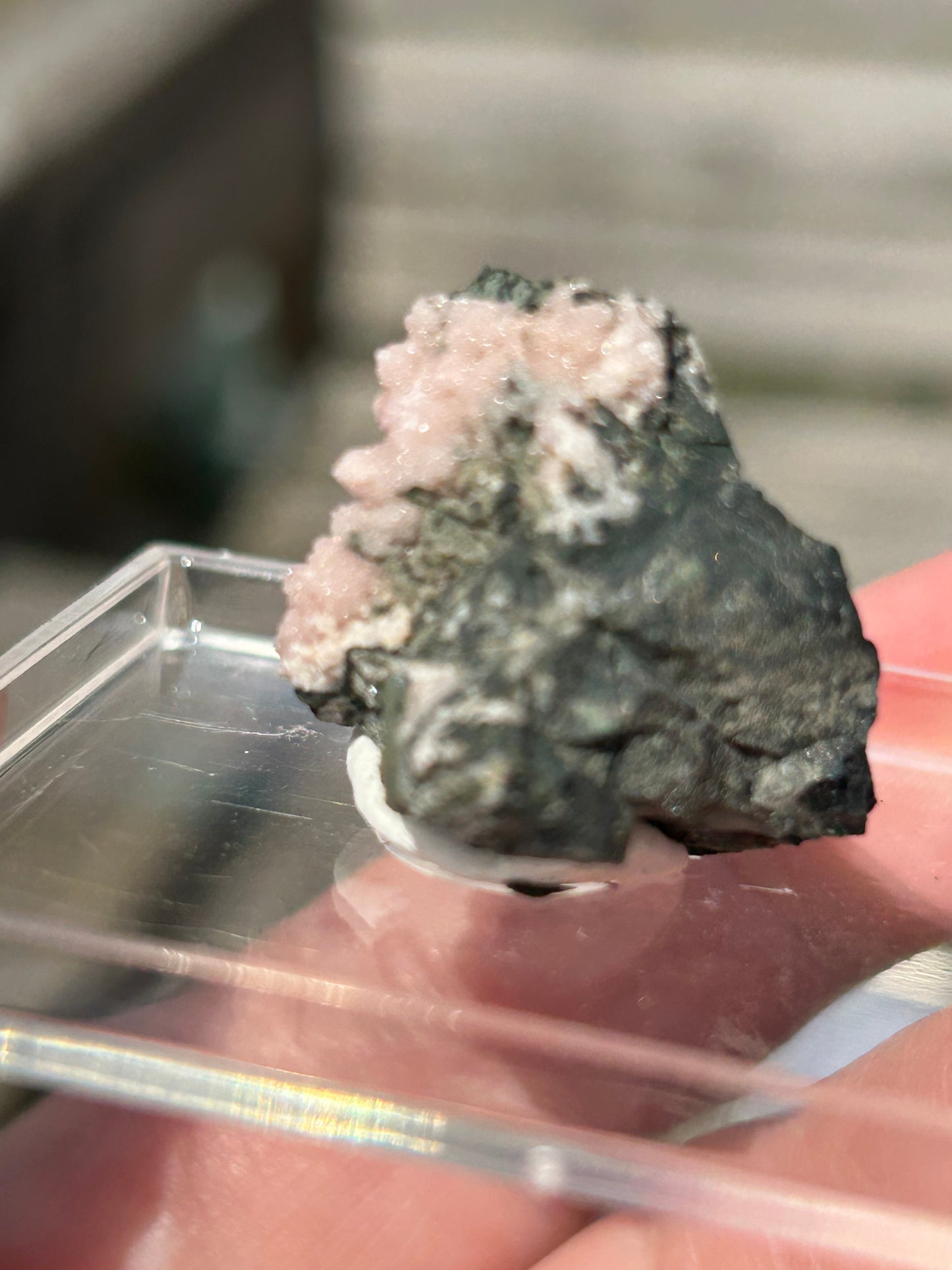 Pink Botryoidal Rhodochrosite from Potisi Mine, Francisco, Santa Eulalia, Chihuahua, Mexico 🇲🇽 #10