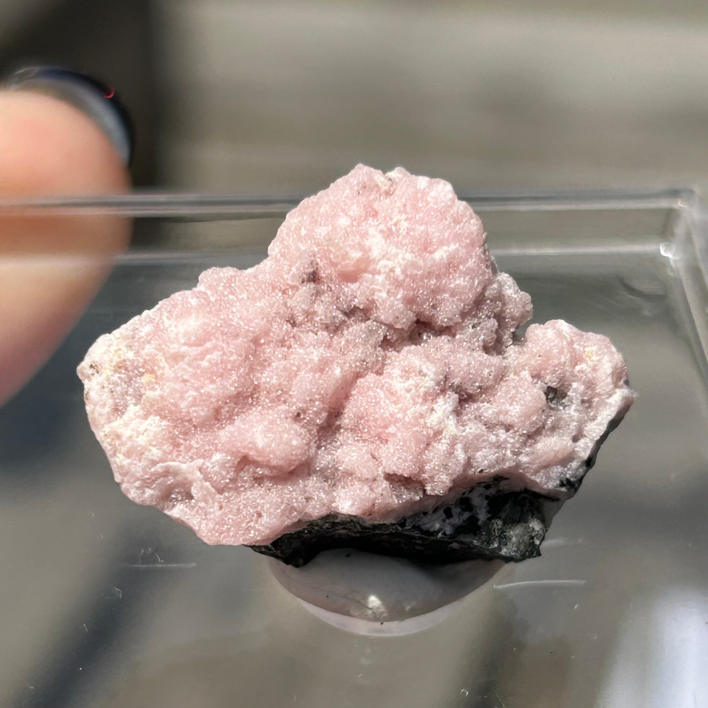 Pink Botryoidal Rhodochrosite from Potisi Mine, Francisco, Santa Eulalia, Chihuahua, Mexico 🇲🇽 #11