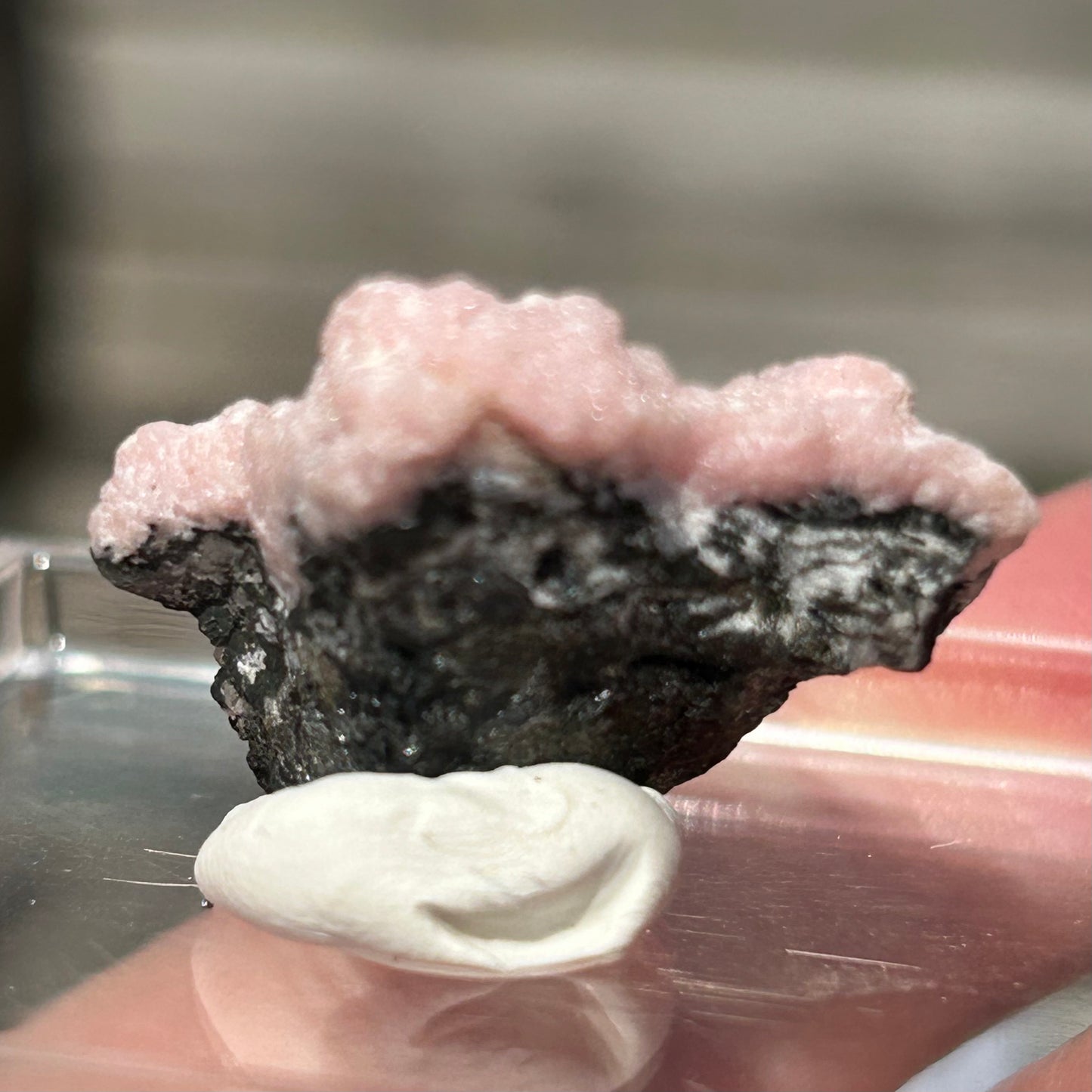 Pink Botryoidal Rhodochrosite from Potisi Mine, Francisco, Santa Eulalia, Chihuahua, Mexico 🇲🇽 #11