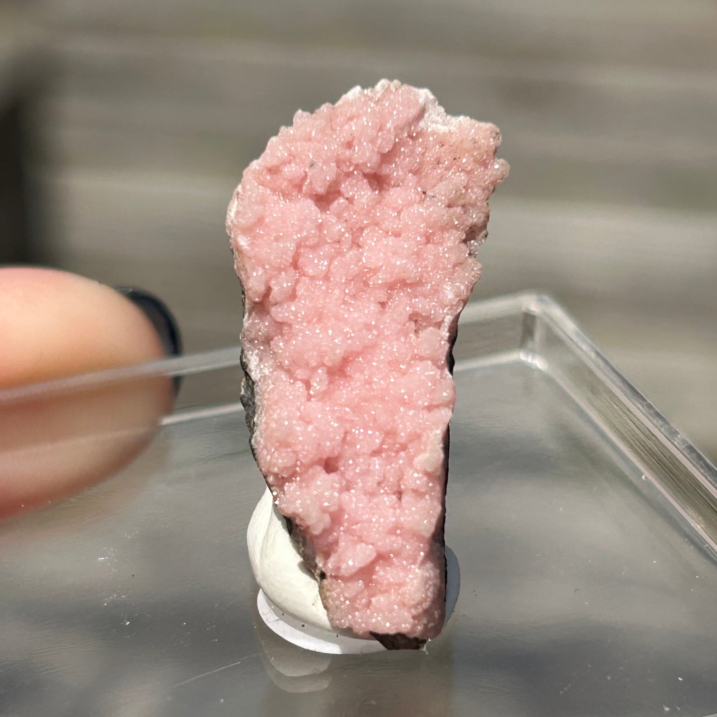 Pink Botryoidal Rhodochrosite from Potisi Mine, Francisco, Santa Eulalia, Chihuahua, Mexico 🇲🇽 #14