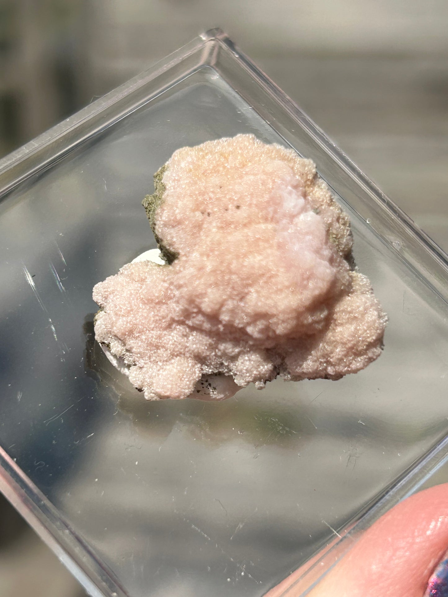 Pink 🩷 Botryoidal Rhodochrosite from Potisi Mine, Francisco, Santa Eulalia, Chihuahua, Mexico 🇲🇽 #15