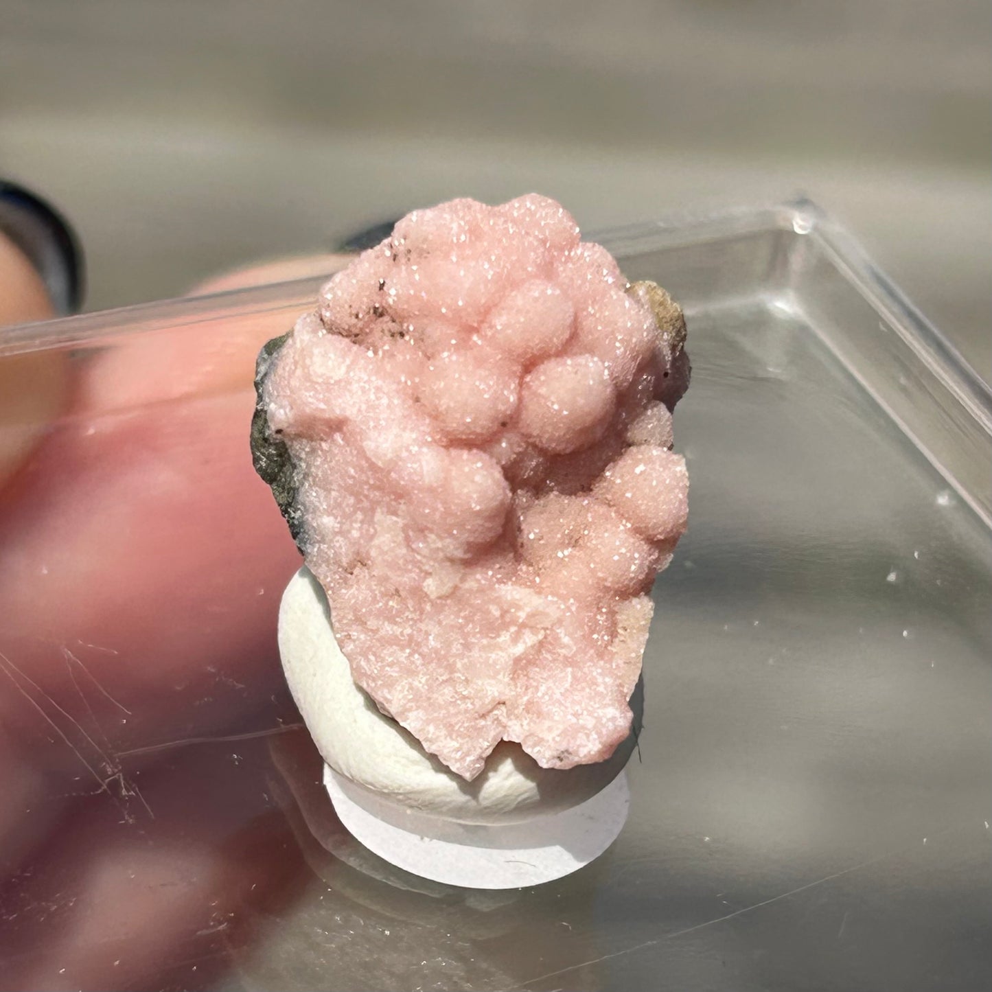 Pink 🩷 Botryoidal Rhodochrosite from Potisi Mine, Francisco, Santa Eulalia, Chihuahua, Mexico 🇲🇽 #17