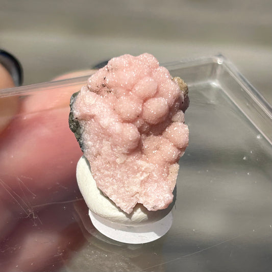 Pink π©· Botryoidal Rhodochrosite from Potisi Mine, Francisco, Santa Eulalia, Chihuahua, Mexico π²π½ #17