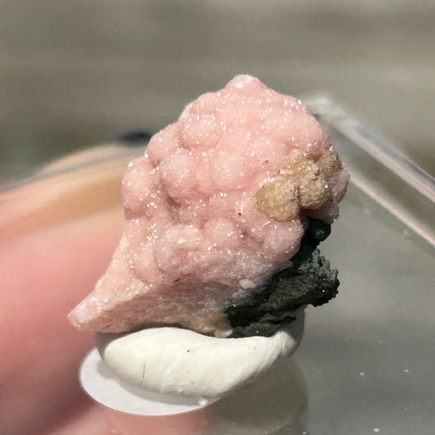 Pink 🩷 Botryoidal Rhodochrosite from Potisi Mine, Francisco, Santa Eulalia, Chihuahua, Mexico 🇲🇽 #17