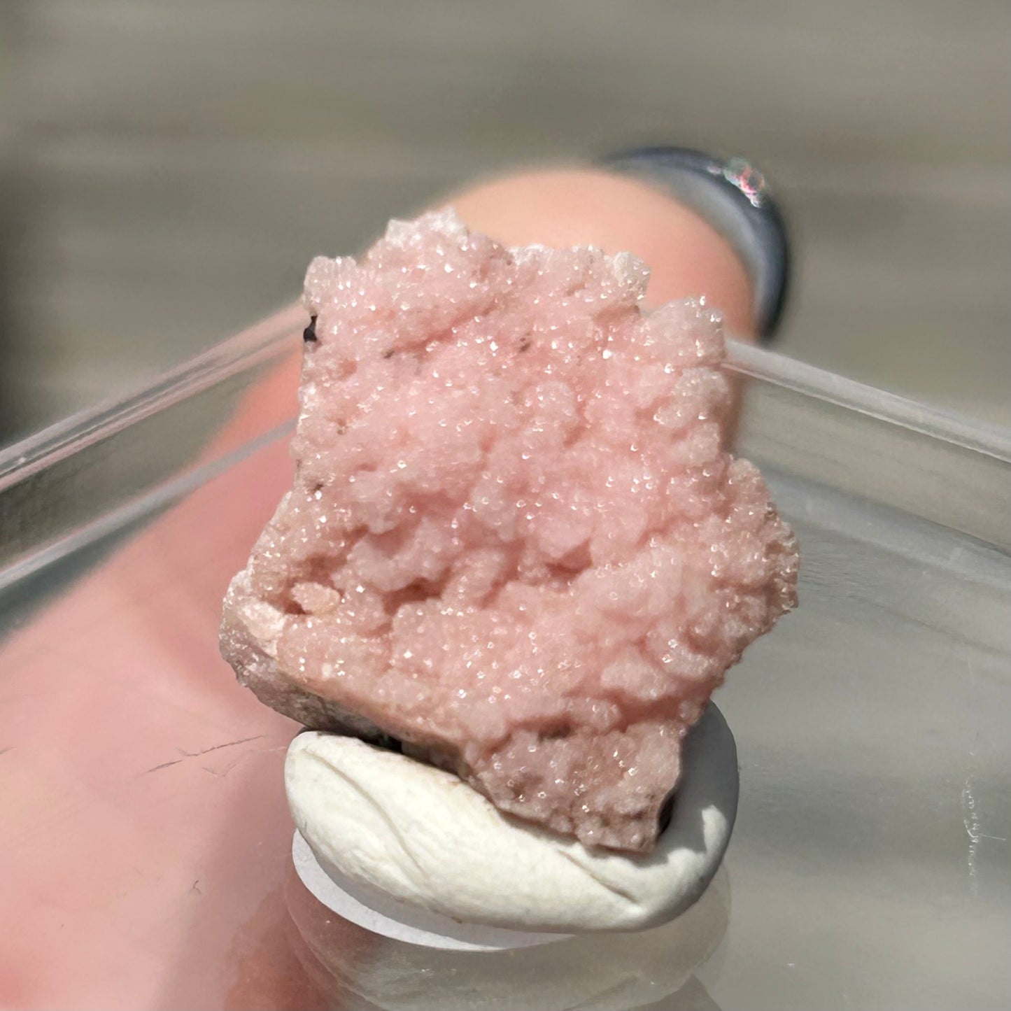 Pink Botryoidal Rhodochrosite from Potisi Mine, Francisco, Santa Eulalia, Chihuahua, Mexico 🇲🇽 #18