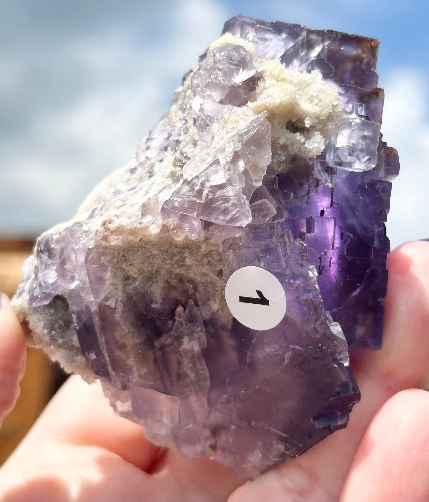 Blue-Purple Step Fluorite XL from Berbes Quarry, Berbes Mining Area, Ribadesella, Asturias, Spain 🇪🇸 (Closed Quarry - Mined in 1980s) #1 High Quality