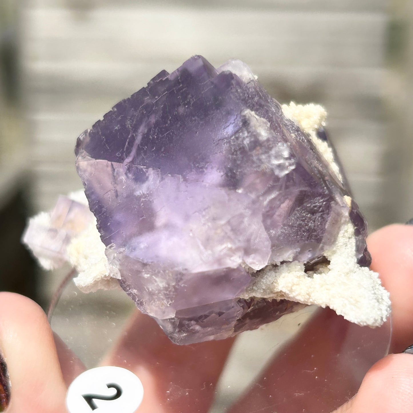 Blue-Purple Step Fluorite Large from Berbes Quarry, Berbes Mining Area, Ribadesella, Asturias, Spain 🇪🇸 (Closed Quarry - Mined in 1980s) #2 High Quality